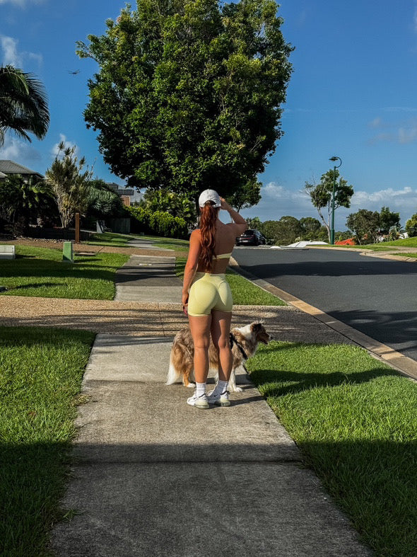 SIGNATURE SEAMLESS SHORTS